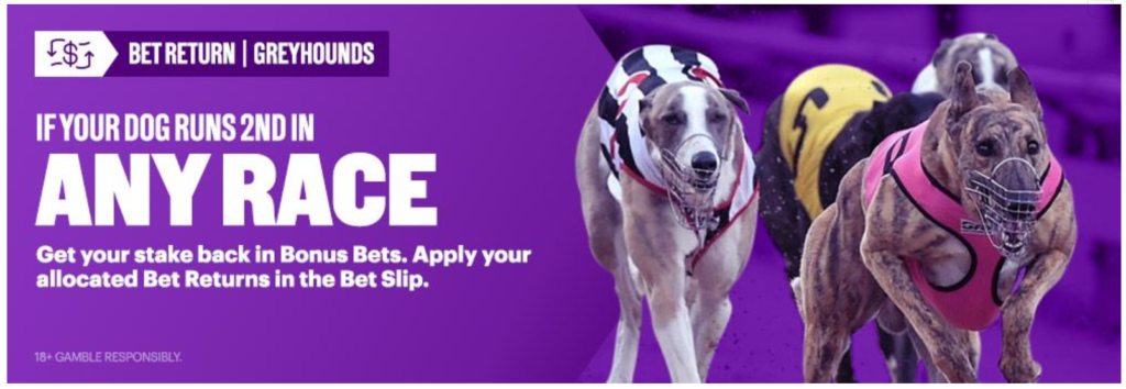 Greyhound Racing Bet Back Offer On 2nd With BetEasy! - BigBonusBets.com.au