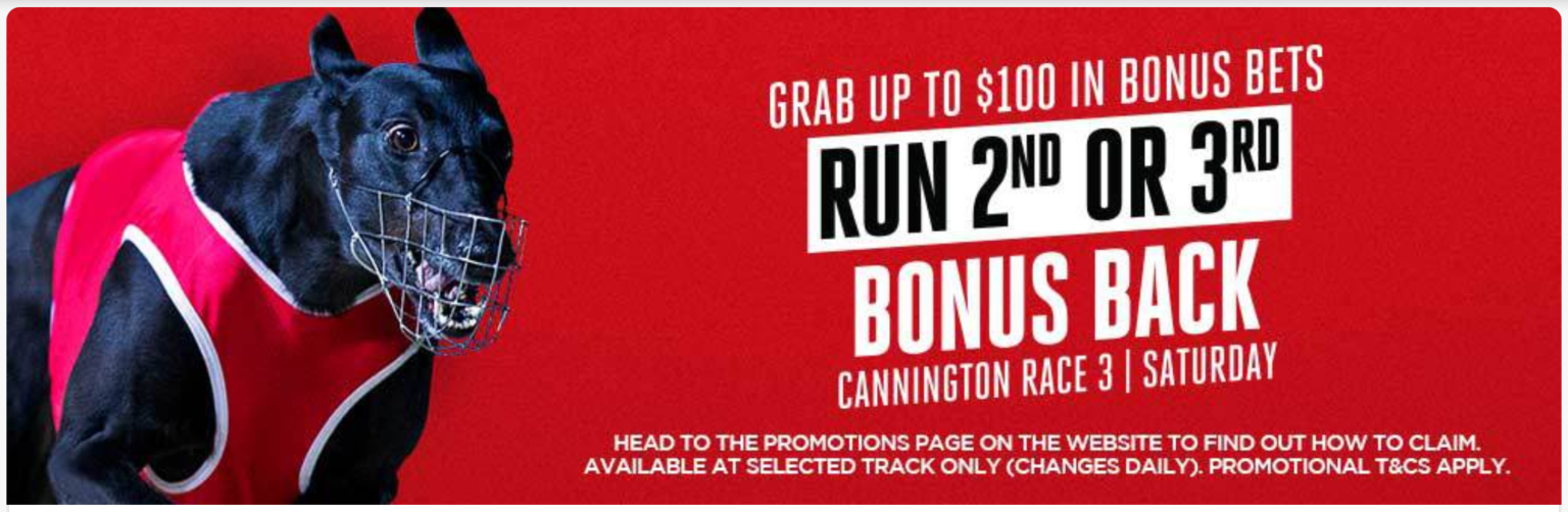 Cannington Greyhound Races Bonus Back Offer on 2nd or 3rd at Ladbrokes! - BigBonusBets.com.au